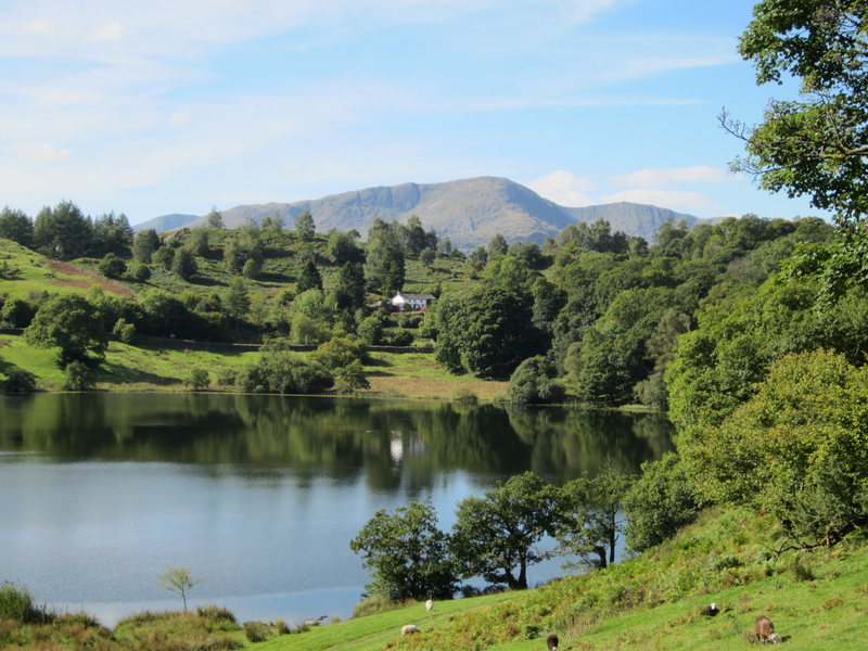Wetherlam Mt from Loughrigg Tarn