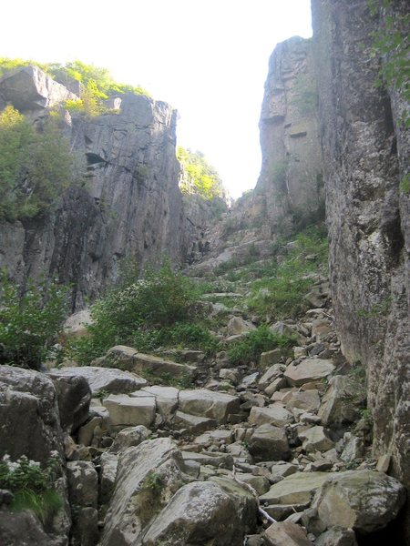 View from the base of the dike