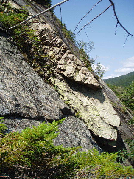 ? Celestial Path?...the "nose" above the mid-cliff tree ledge, just right of the "singleton pine tree" and the flake of "Night Climb for 2 Knights".