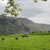 Looking towards  Falcon Crags .. Borrowdale