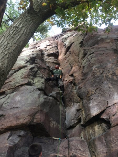 Nicholas Dehaan on the lead of Coatimundi Crack.