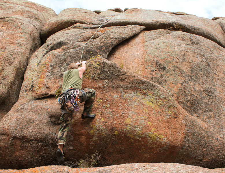 Squeak moving onto Bunny Flake, 31 August, 2015.