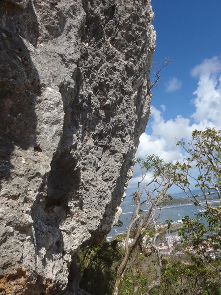 Cliff wall at Pelican cove...