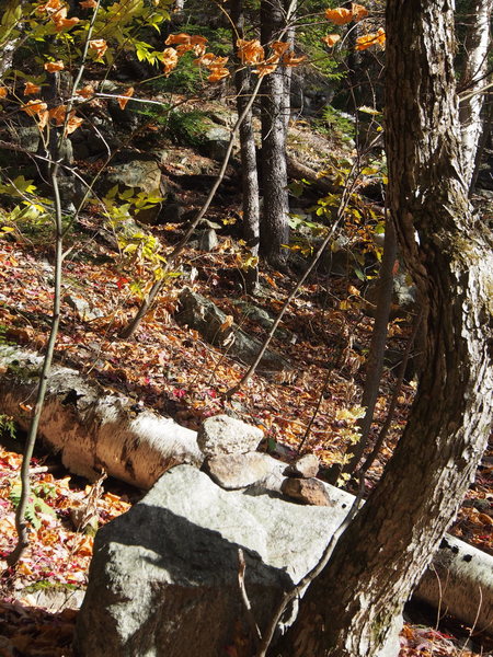 2 cairns on a rock marks the turn off RIGHT, out of the gully