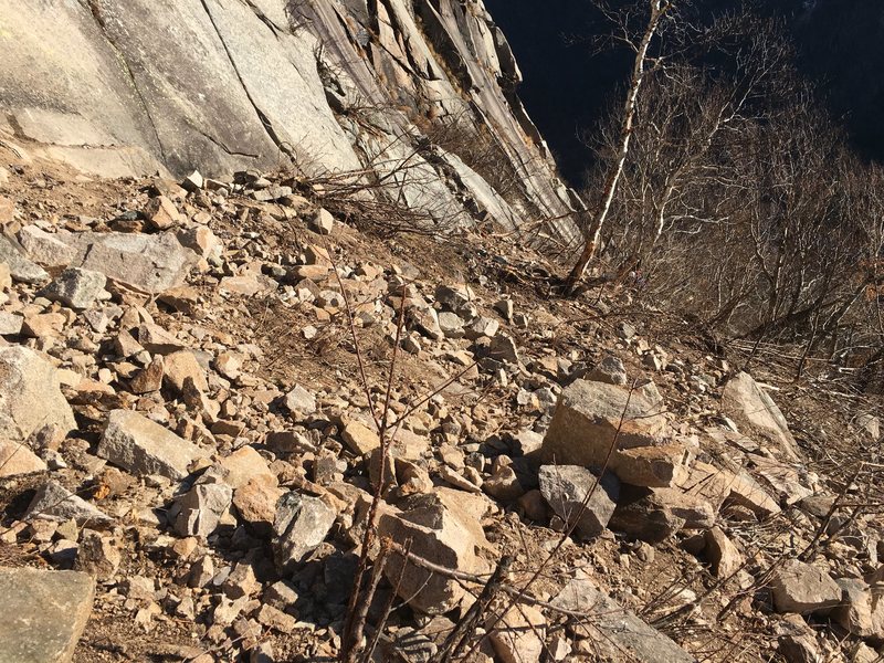 The base of the cliff where the rock came down.