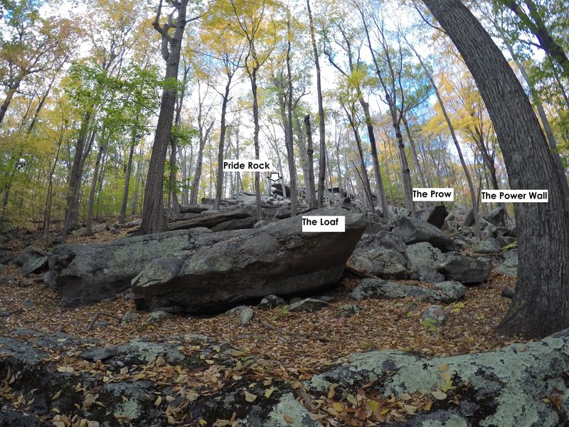 View of Talus Area from Green trail near entrance.