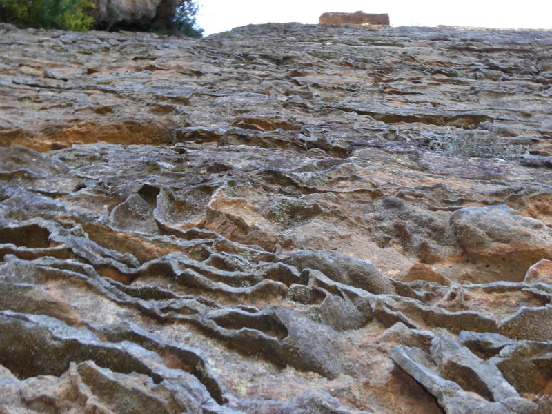 Ironstone in Blue Mountains, Australia.<br>
Sandstone impregnated with iron bearing fluids. Great holds.