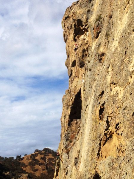 Aaron Hope on Pitch 2 of"Proboscis" (the airy, improbable 5.9 section. Mammoth Rock