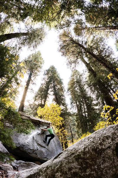 Devin climbing in LCC