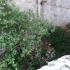 looking down into the cave 