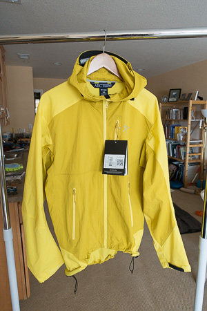 Arcteryx Gamma SL Hybrid Hoody