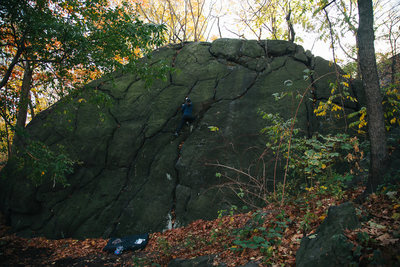 Shit Rock - North Central Park