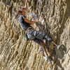 Fancy footwork (with a cool high-tech foot too!) by Craig in the crux.