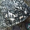 Wheeler Crest
<br>
"Interesting (not diorite) rock"