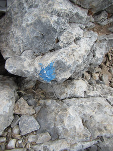 Follow the blue paint dots.