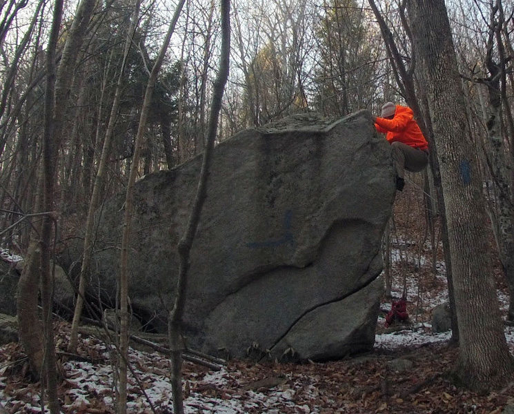 Snapper Rock