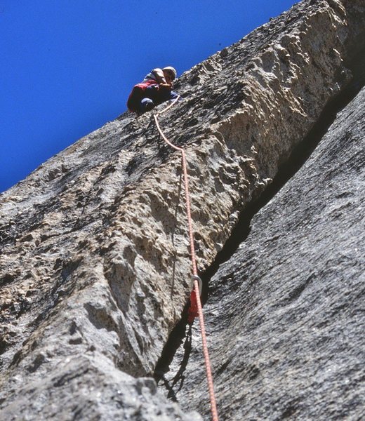 Scavenger on Fairview Dome, photo by Eric Collins