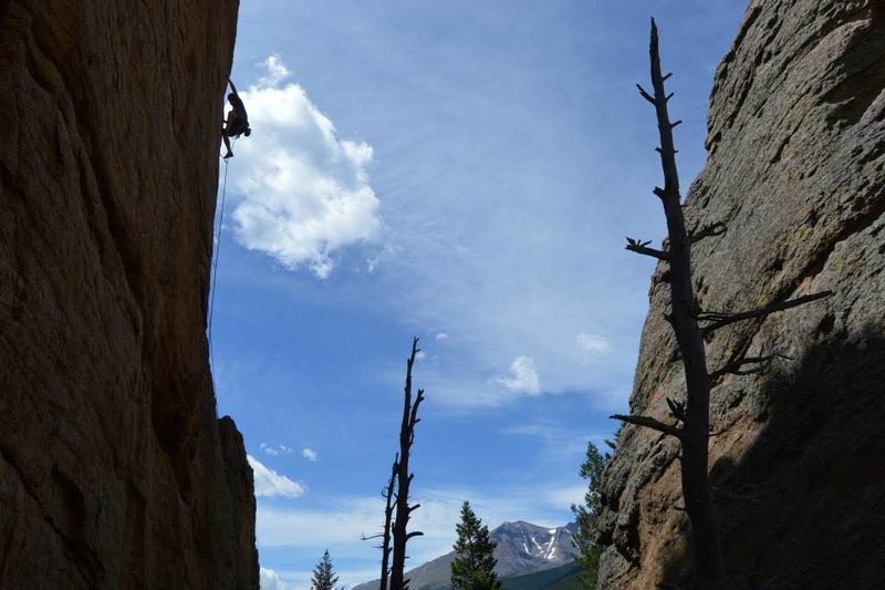 Tommy Caldwell cruising up Andrology.