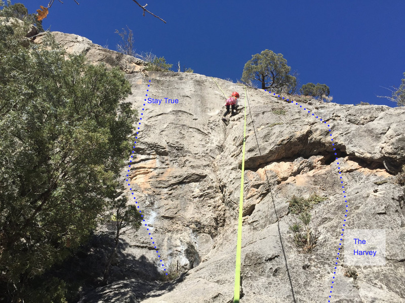 Climber on Traditional Values and beta line for The Harvey.