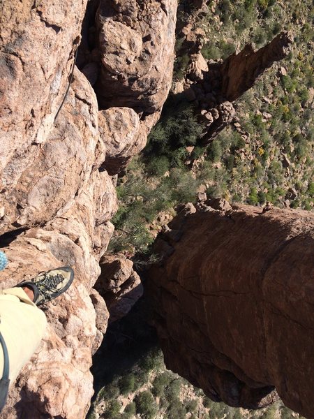 Looking down from the top to the base of the Coop