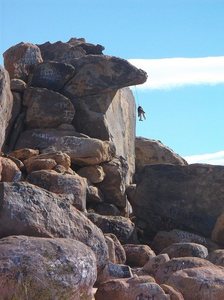 What a dummy for getting stuck out there like that.