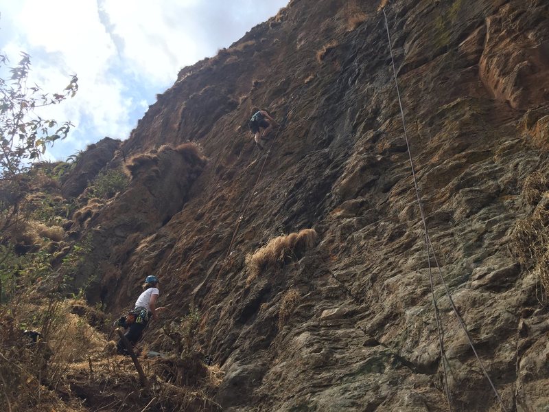 Nico leading Almaz, rope is hanging to the right on Tenish Tenish