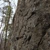 Rock quality on Super B