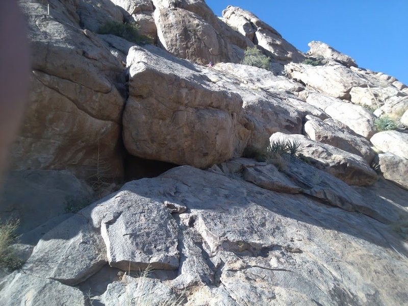 The "yuccas" at start of Pitch 3. It works to do Pitch 3 from anywhere directly below these, including from the main ramp, as long as the ropes do not go from the left of the plants (as they do in this photo).