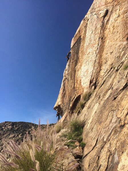 Tim leading Triton Tower P3. Photo credit to Greg Davis.