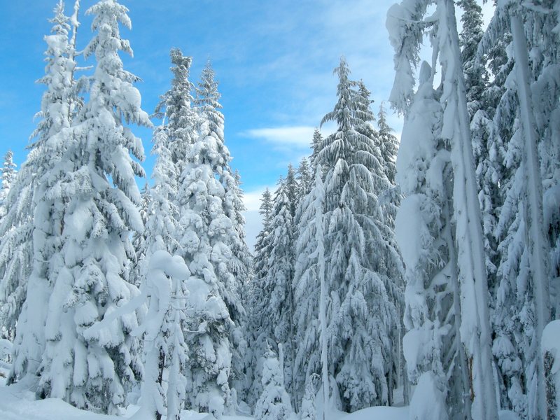 Winter in the gorge.