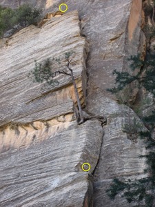 the Pitch of Despair