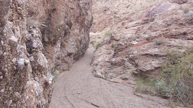 Photo Joel Ogulnick. Englishman's Wall looking up canyon.