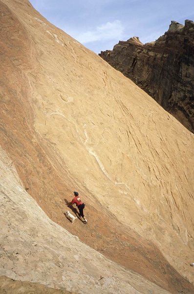 One man and his dog ... Photo Steve "Crusher" Bartlett