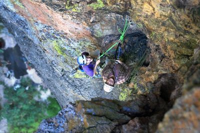 Top pitch-1, west face route of South Rabbit Ear at The Menagerie.