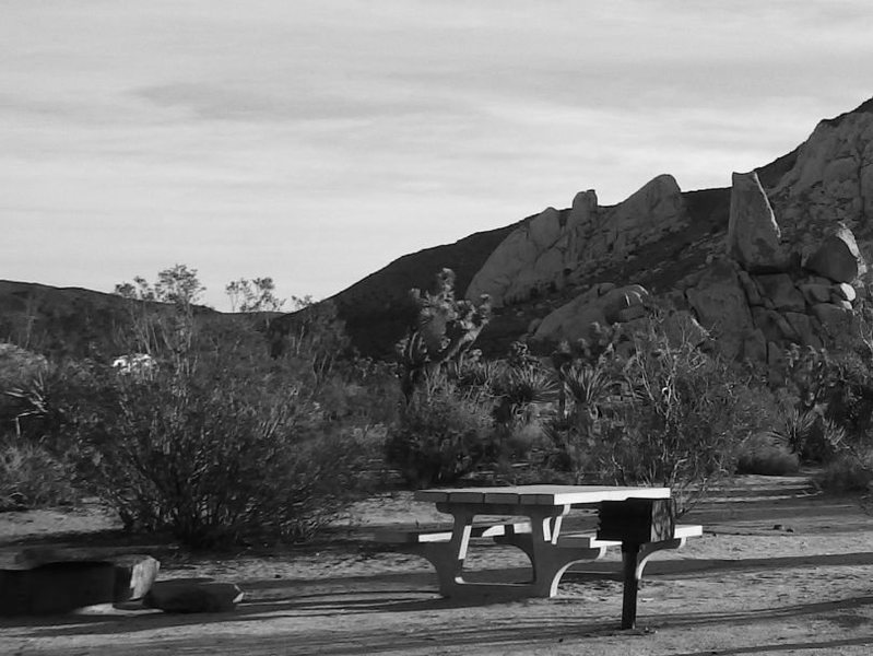 Camping and climbing at JTNP.