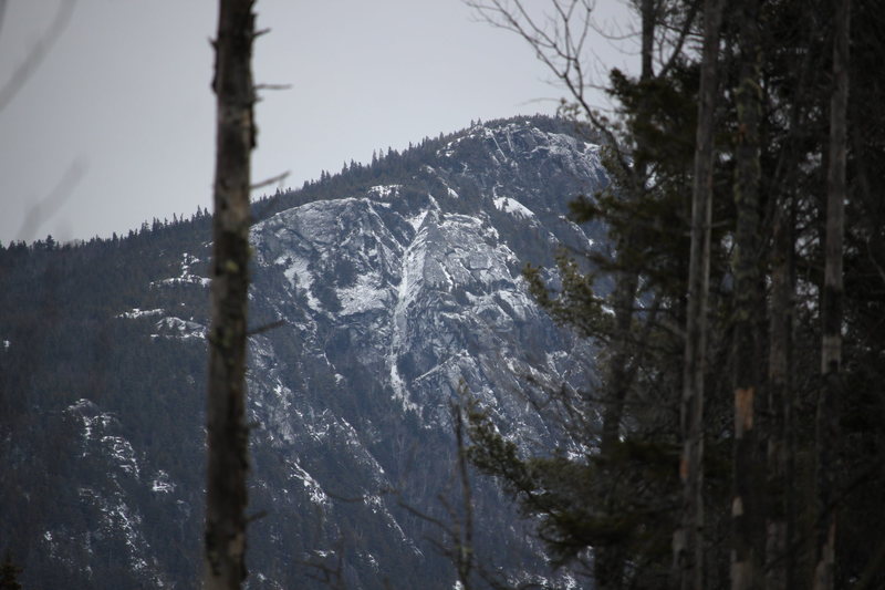 Paradis Gully from the Weld to Byron Rd. Taken 2/21/2016