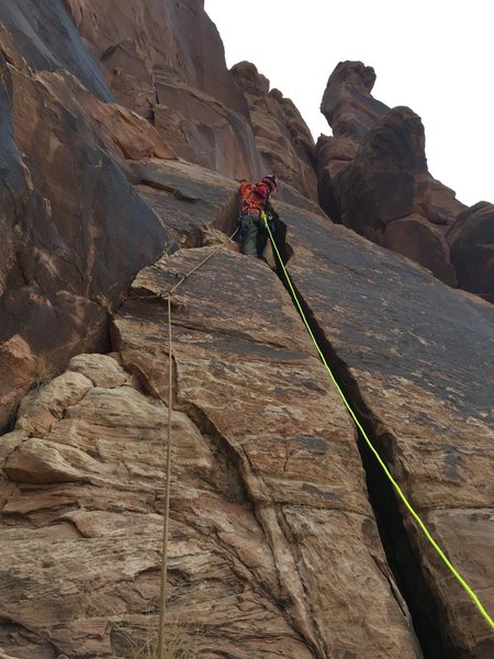 First pitch of Haagenschlong