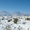 Snow at Red Rock.