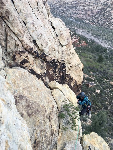 Near the top. Climb the crack then traverse the White flake to the anchors. 