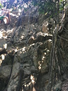 Tim and Charly's only friend