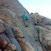 Joe on Pimento (5.6), Margheritaville