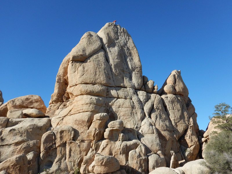 Brenda prepares to rappel from the summit of the Hidden Tower at Joshua Tree, March 2016