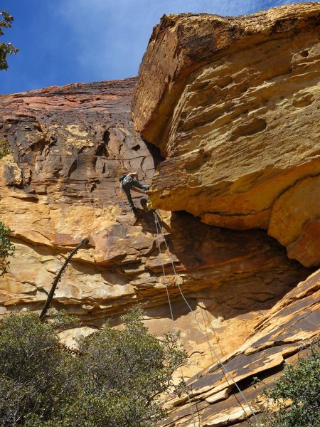 The second rappel (if you are doing single rope rappels) on the descent into Painted Bowl.