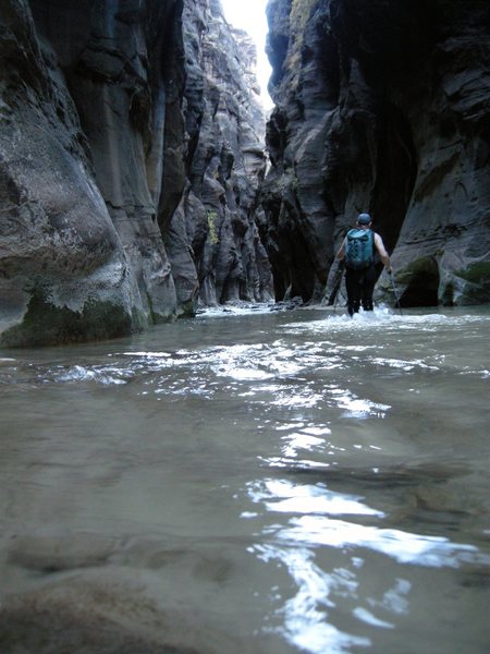 Virgin River Narrows. Zion N.P.