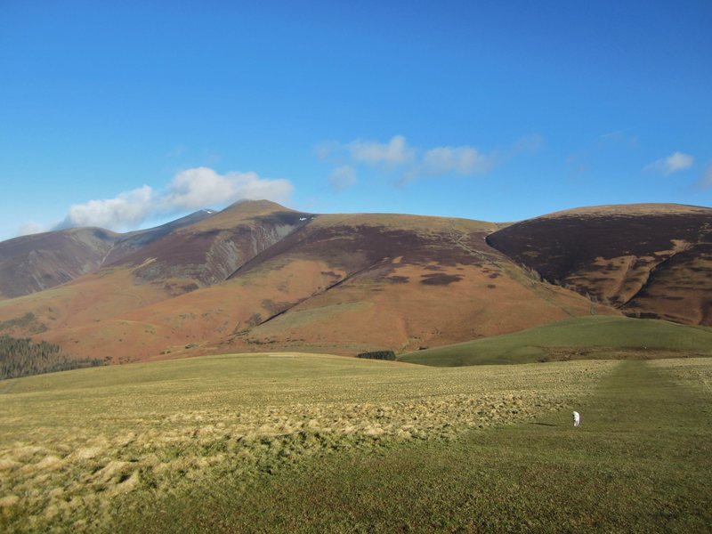 Skiddaw Mt viewed from Latrigg