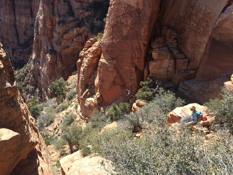 Descending, just below the meadow. 