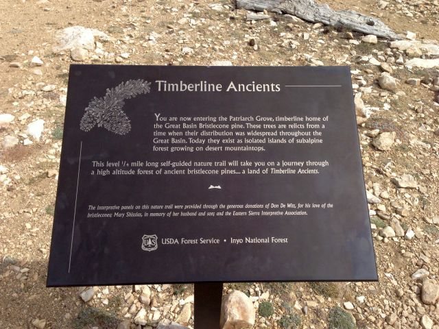 Patriarch Grove signage, White Mountains