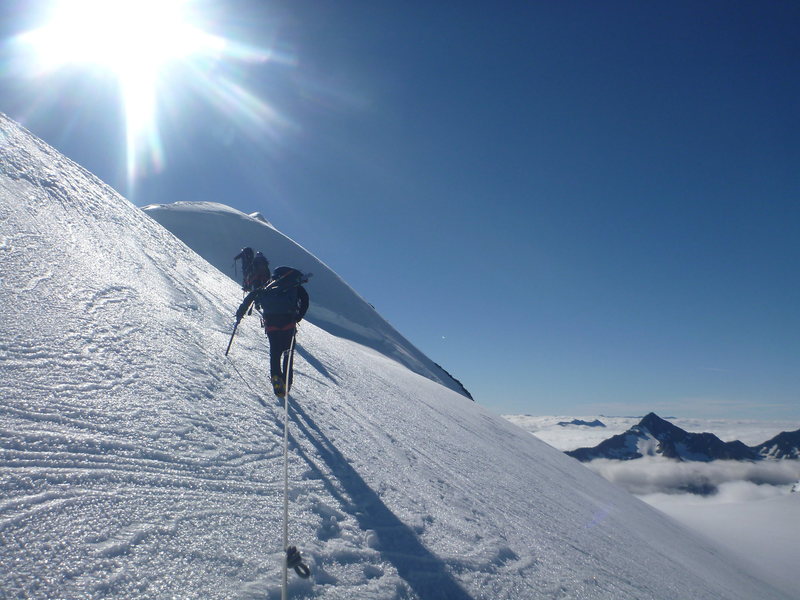 NZ alps