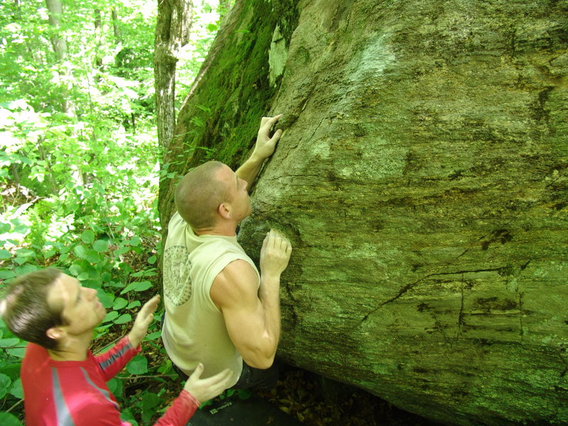 Schlafe working the bananna