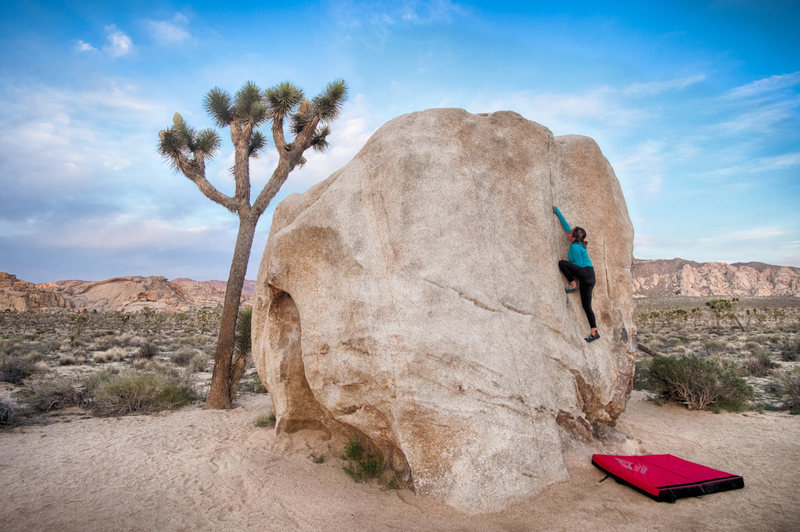 Muquxi La jamming on Pinhead boulder - Joshua Tree